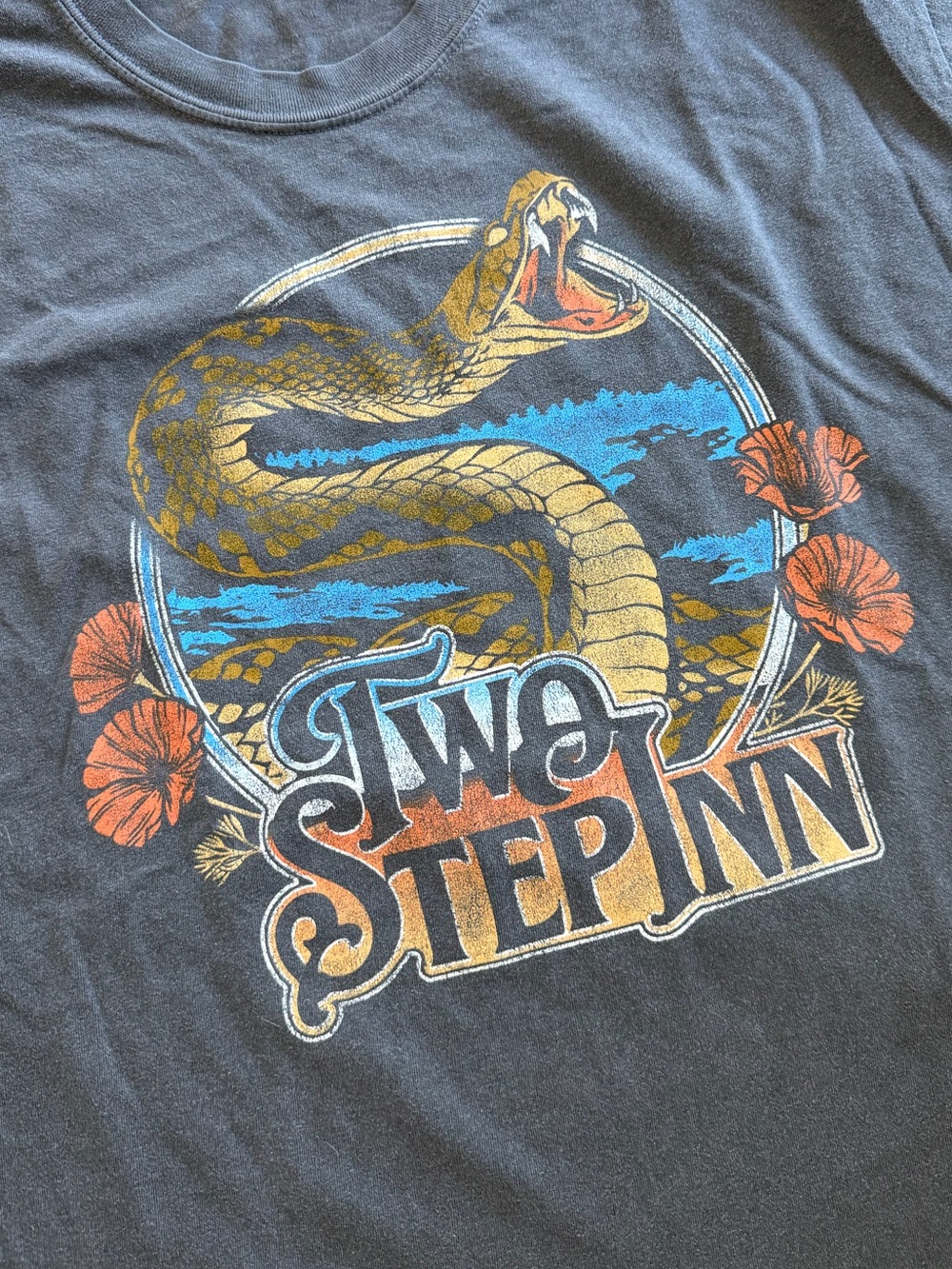 Two Step Inn 2026 Snake Lineup Tee - Picture 5 of 7